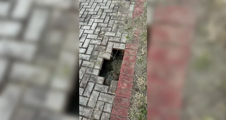 Moradores denunciam formação de buraco no Jardim Carvalho; veja