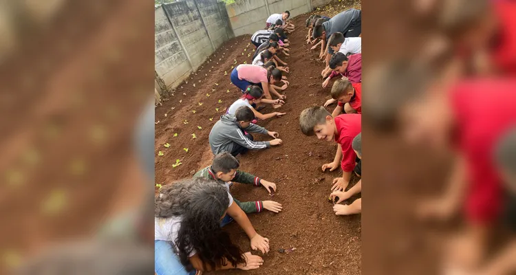 Prática na horta e teoria em sala contribuíram para a fixação dos conteúdos.