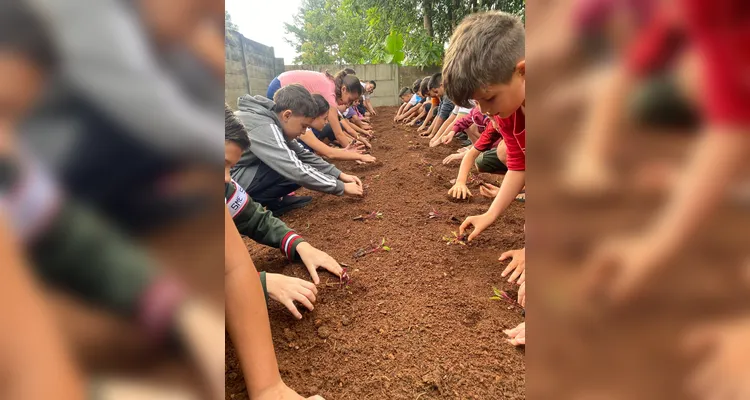 Prática na horta e teoria em sala contribuíram para a fixação dos conteúdos.