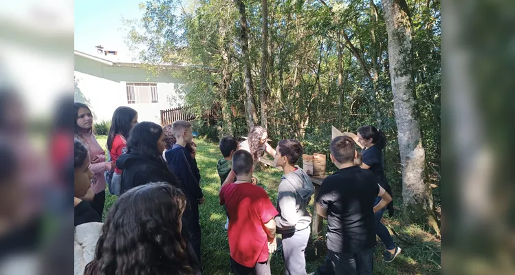 Confira os registros do amplo trabalho dentro e fora da sala de aula.