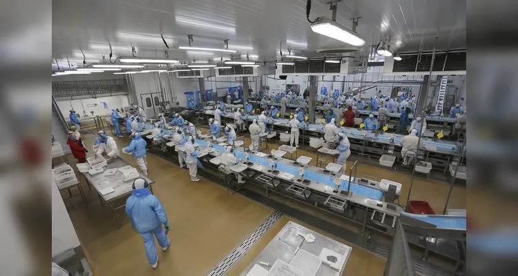 Paraná começa dezembro com recorde de 27,1 mil vagas nas Agências do Trabalhador