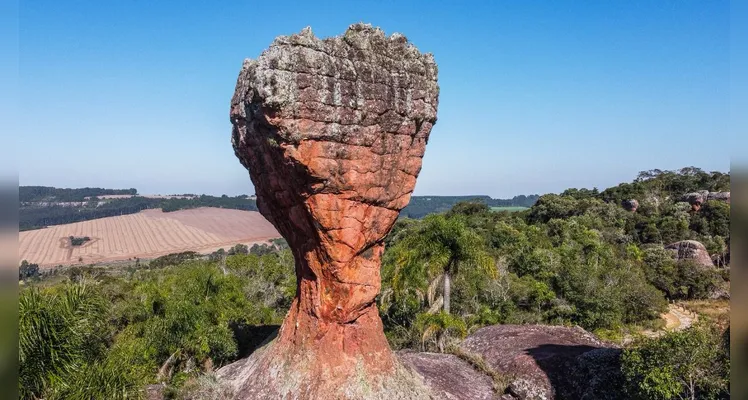 Taça do Parque Estadual de Vila Velha