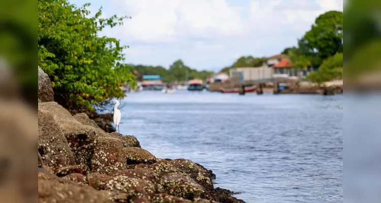 Estado limita capacidade máxima de pessoas na Ilha do Mel; confira