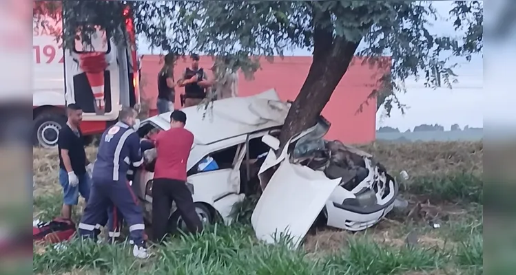 Condutor teria perdido o controle da direção, saído da pista e colidindo contra a árvore