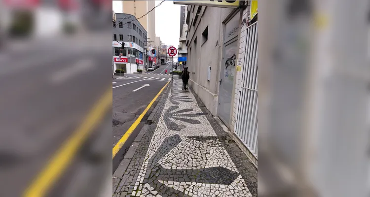 Cavalo é amarrado à placa de proibido estacionar no Centro de PG