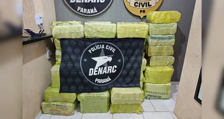 Paraná bate recorde de apreensão de drogas no 1.º trimestre do ano