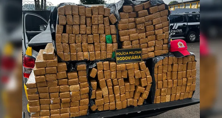 Paraná bate recorde de apreensão de drogas no 1.º trimestre do ano