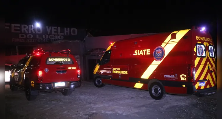 Bombeiros são acionados para atropelamento e localizam caso inusitado