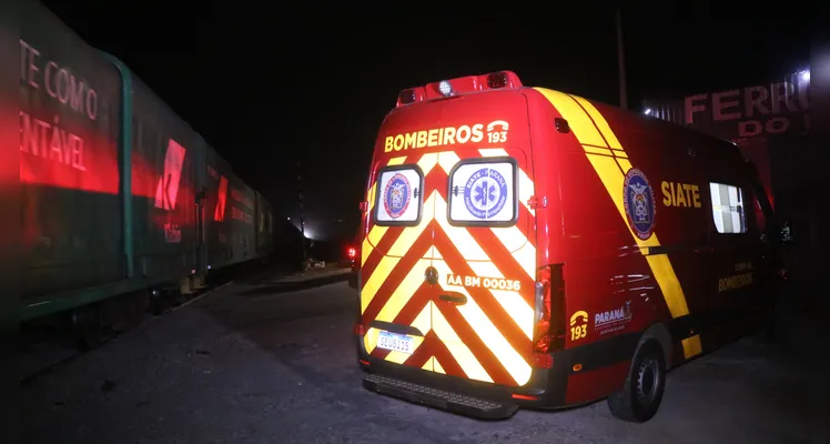 Bombeiros são acionados para atropelamento e localizam caso inusitado