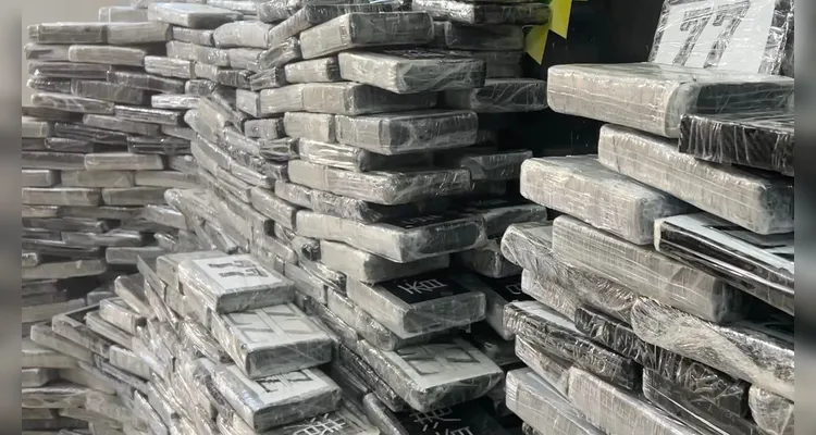 Polícia Militar do Paraná realiza apreensão milionária de drogas na região sul da capital paranaense -