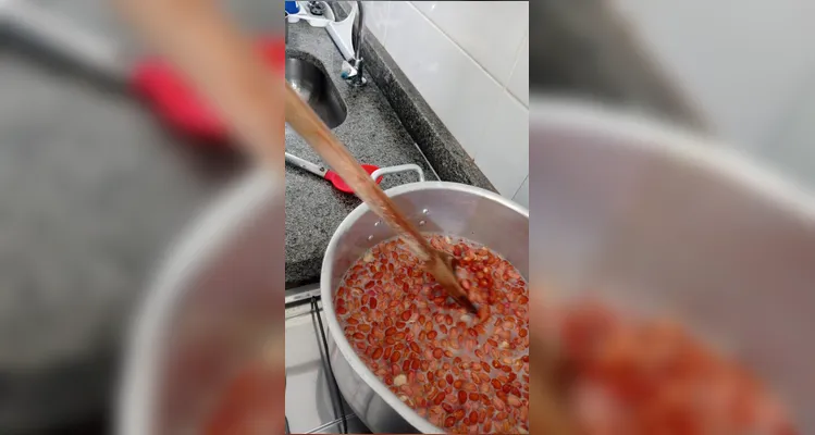 Confira a série de registros do amplo trabalho.