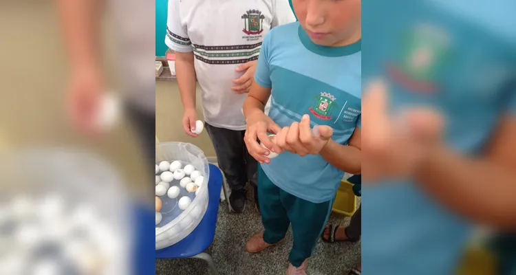 Confira a série de registros do amplo trabalho.