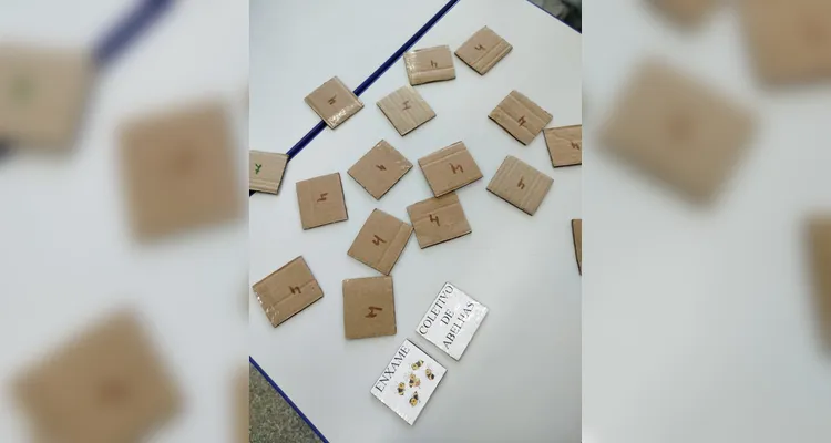 Confira os registros do diversificado trabalho em sala de aula.