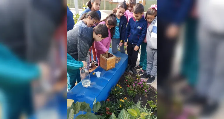 Confira a série de registros do amplo trabalho sustentável realizado pelos educandos.