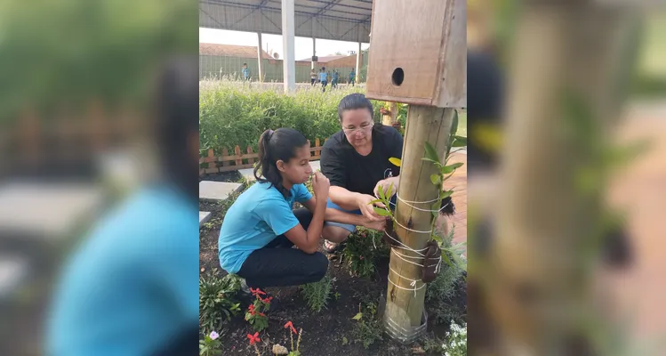 Confira a série de registros do amplo trabalho sustentável realizado pelos educandos.