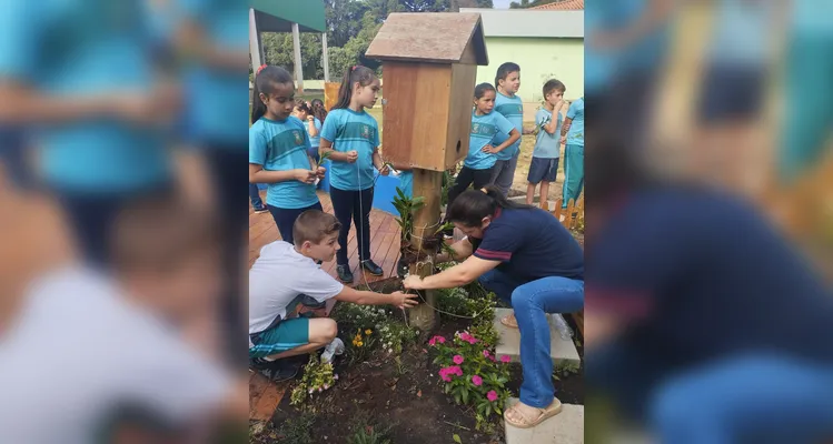 Confira a série de registros do amplo trabalho sustentável realizado pelos educandos.
