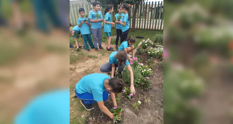 Confira a série de registros do amplo trabalho sustentável realizado pelos educandos.