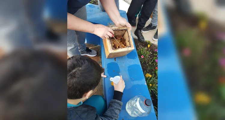 Confira a série de registros do amplo trabalho sustentável realizado pelos educandos.