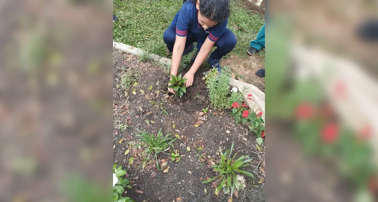 Confira a série de registros do amplo trabalho sustentável realizado pelos educandos.