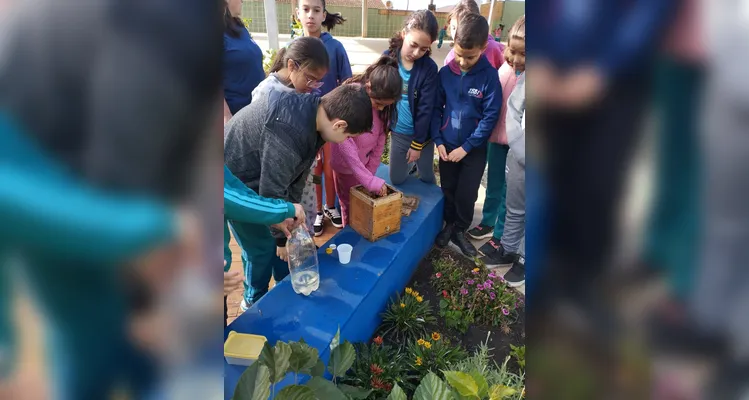 Confira a série de registros do amplo trabalho sustentável realizado pelos educandos.