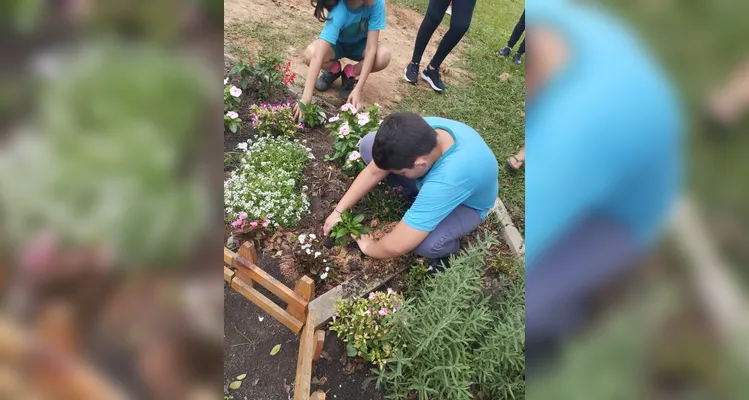Confira a série de registros do amplo trabalho sustentável realizado pelos educandos.