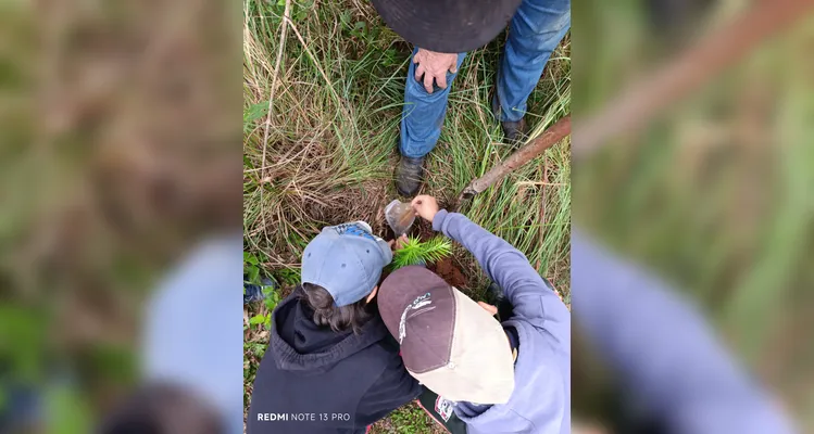 Veja os registros do amplo trabalho ambiental realizado pelos educandos.