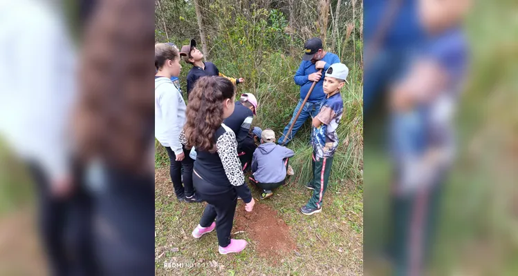 Veja os registros do amplo trabalho ambiental realizado pelos educandos.