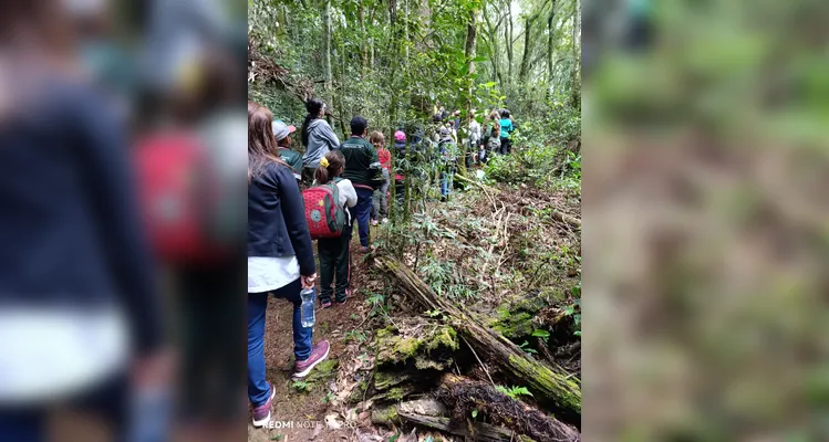 Veja os registros do amplo trabalho ambiental realizado pelos educandos.
