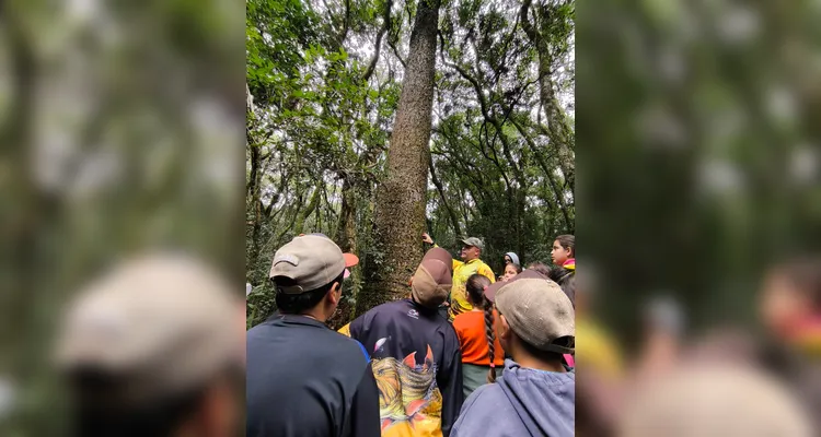 Veja os registros do amplo trabalho ambiental realizado pelos educandos.