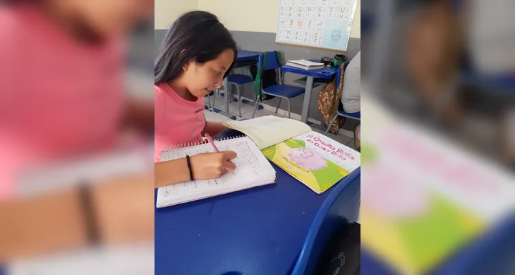 Diversidade de obras e dinâmicas amplia assimilação da proposta.