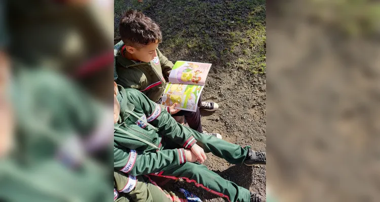 Educandos podem buscar diversidade de opções e inspirações com a proposta.