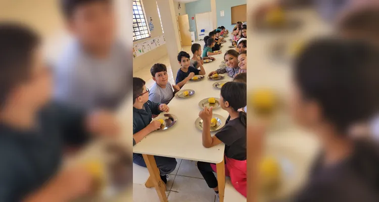 Alimentação saudável é destaque em quinto ano de Piraí do Sul