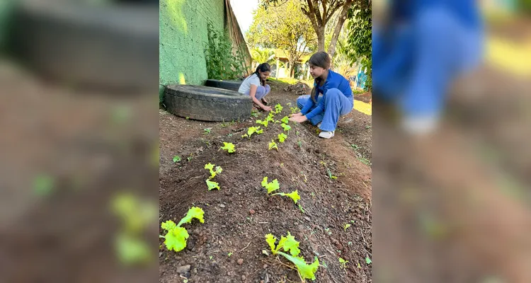 Veja os registros do trabalho prático dos alunos no espaço.