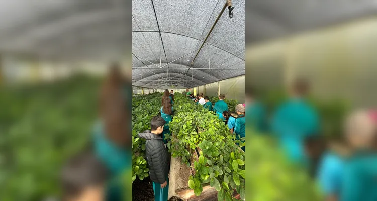 Confira as fotos da visita dos educandos.