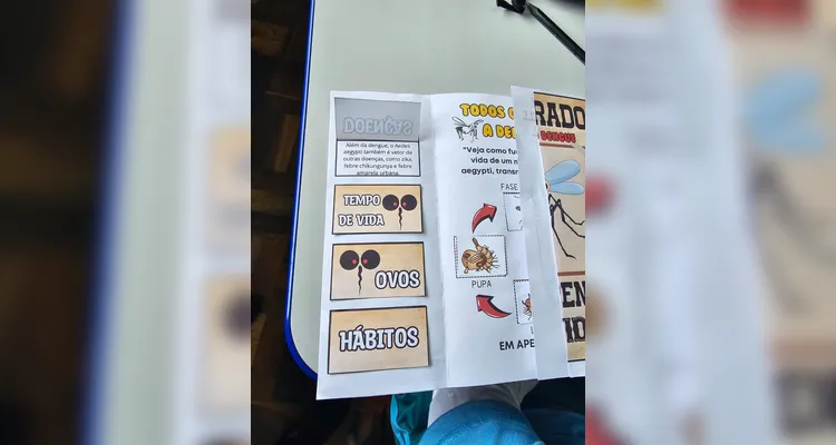 Confira os registros do encontro e diversificado trabalho sobre a dengue em sala de aula.