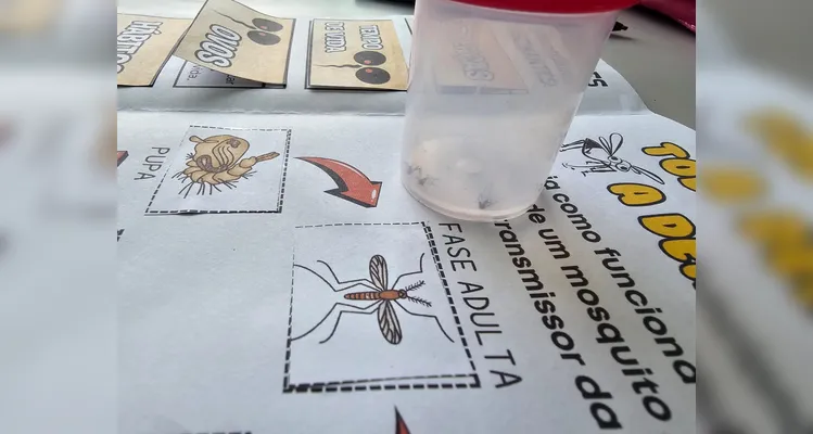 Confira os registros do encontro e diversificado trabalho sobre a dengue em sala de aula.