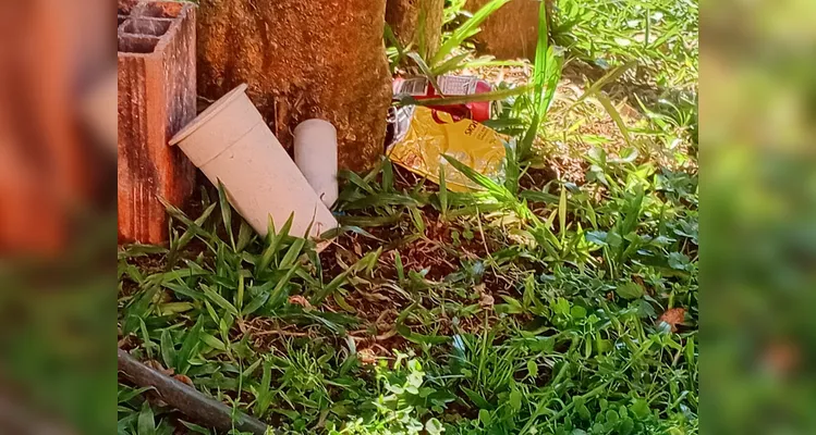 Confira os registros dos alunos em casa do combate ao mosquito transmissor.