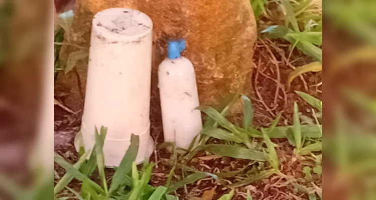 Confira os registros dos alunos em casa do combate ao mosquito transmissor.