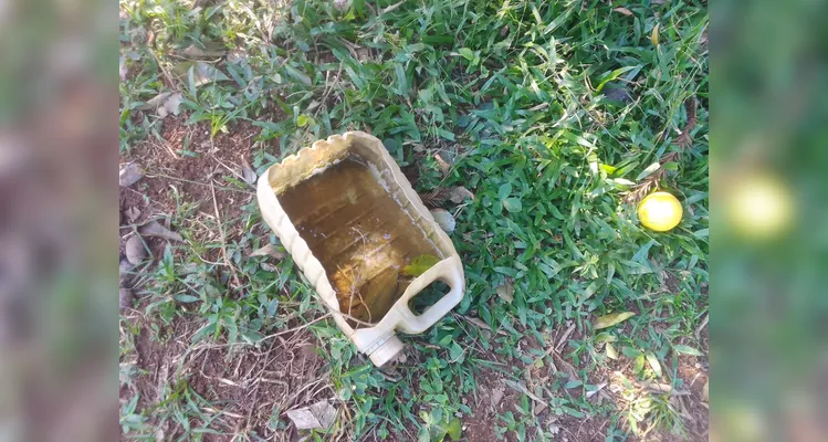 Confira os registros dos alunos em casa do combate ao mosquito transmissor.