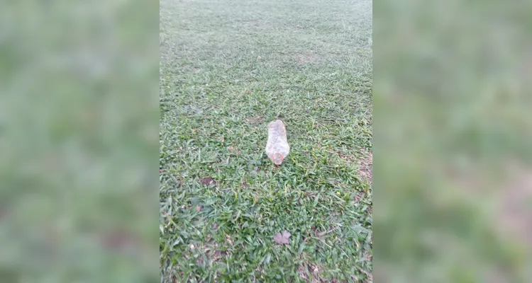 Confira os registros dos alunos em casa do combate ao mosquito transmissor.
