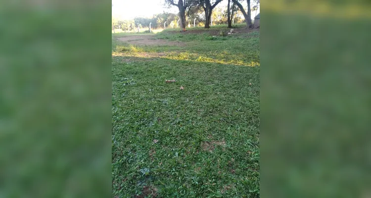 Confira os registros dos alunos em casa do combate ao mosquito transmissor.