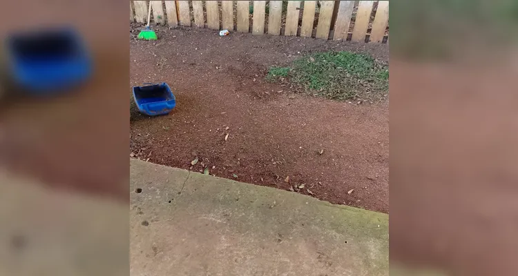 Confira os registros dos alunos em casa do combate ao mosquito transmissor.