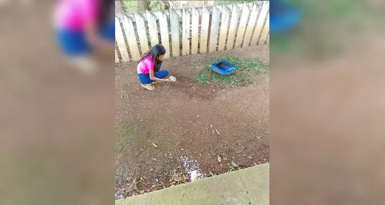 Confira os registros dos alunos em casa do combate ao mosquito transmissor.