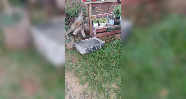 Confira os registros dos alunos em casa do combate ao mosquito transmissor.