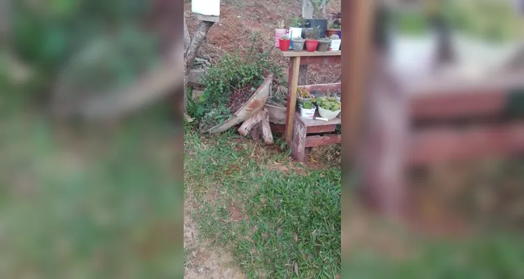 Confira os registros dos alunos em casa do combate ao mosquito transmissor.