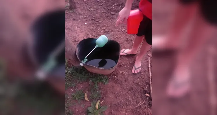 Confira os registros dos alunos em casa do combate ao mosquito transmissor.