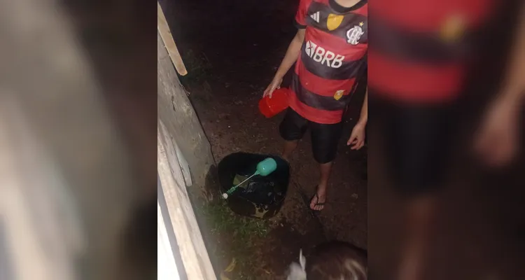 Confira os registros dos alunos em casa do combate ao mosquito transmissor.