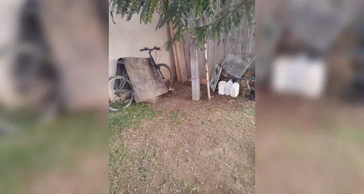 Confira os registros dos alunos em casa do combate ao mosquito transmissor.