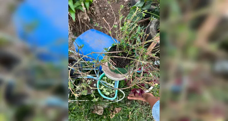 Confira os registros dos alunos em casa do combate ao mosquito transmissor.