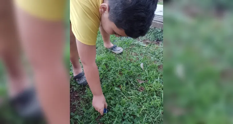 Confira os registros dos alunos em casa do combate ao mosquito transmissor.